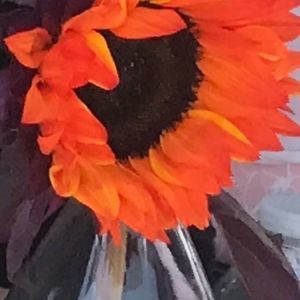 Meet your Posher, Cecilia